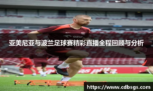 亚美尼亚与波兰足球赛精彩直播全程回顾与分析
